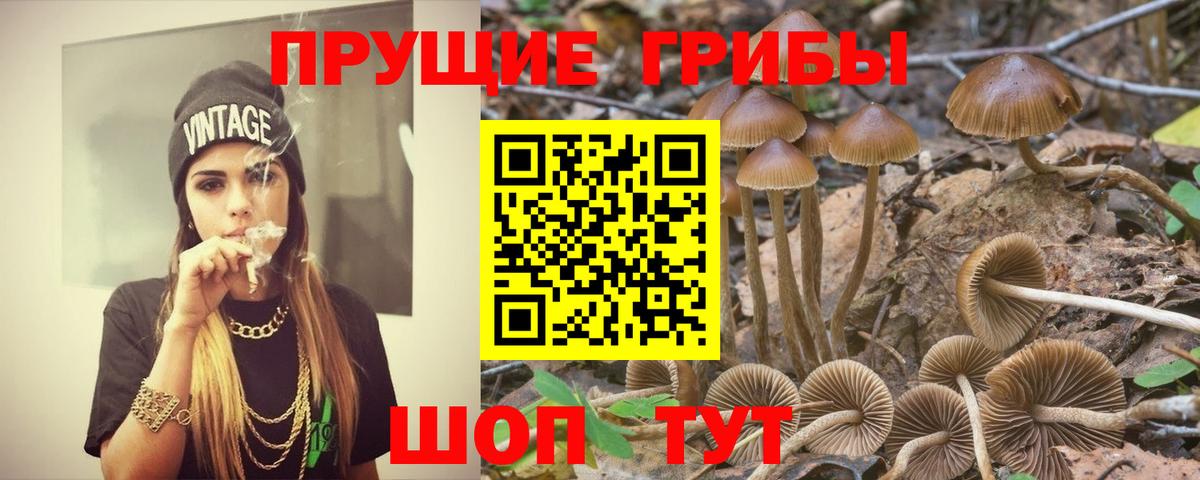 Псилоцибиновые грибы MAGIC MUSHROOMS  Псилоцибиновые грибы GOLDEN TEACHER  Вход с VPN  Электросталь 
