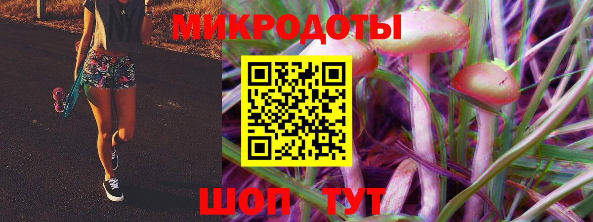 Псилоцибиновые грибы мицелий Электросталь